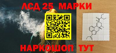 стафф Пенза