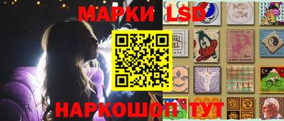 стафф Пенза