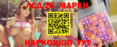 стафф Пенза