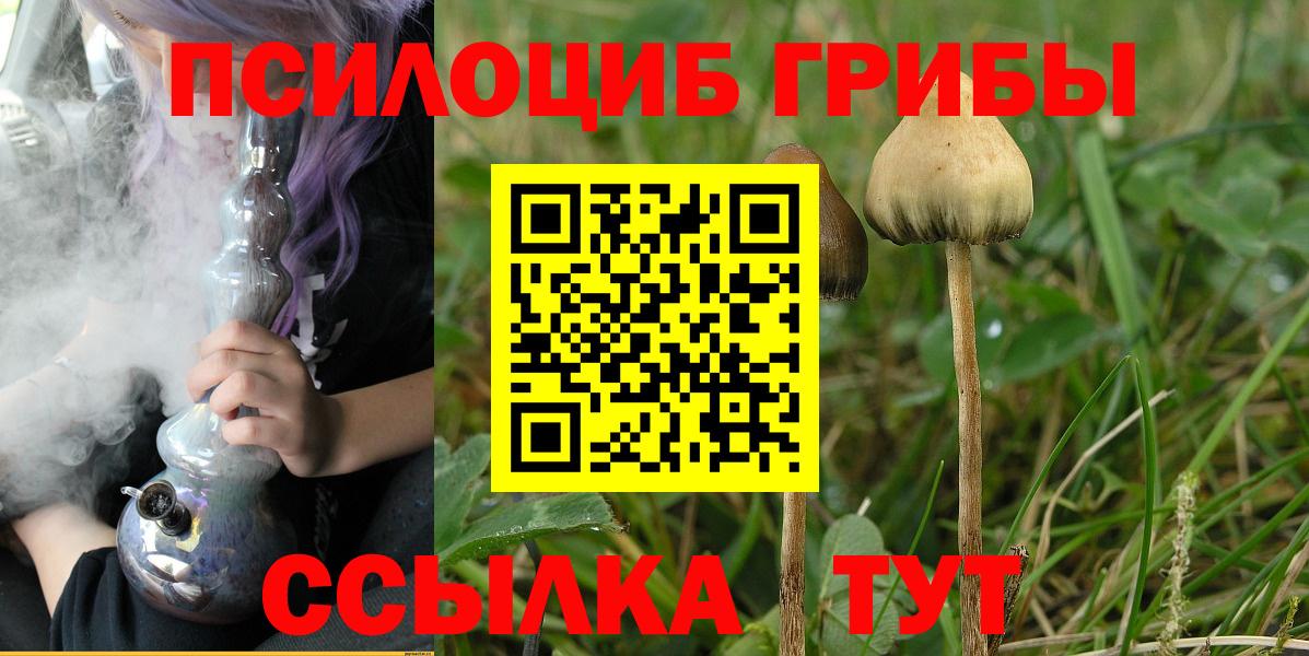 Самара  Галлюциногенные грибы Magic Shrooms  Вход с VPN  Галлюциногенные грибы Magic Shrooms 