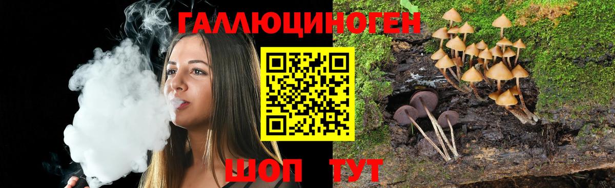 Псилоцибиновые грибы мухоморы Самара
